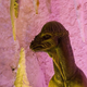 Illustration for article titled Scenes from an underground Russian dinosaur mine